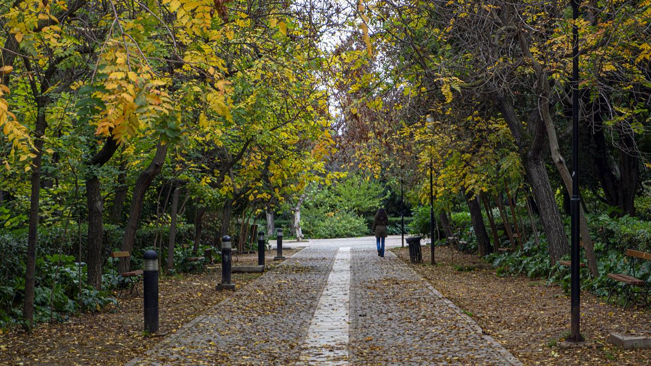 Έλα να πάμε μια χειμωνιάτικη βόλτα στο Πεδίο του Άρεως